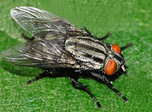 寧波中御環(huán)?？萍加邢薰?/></div>
<div   id=