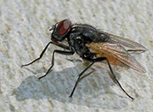 寧波中御環(huán)?？萍加邢薰?/></div>
<div   id=